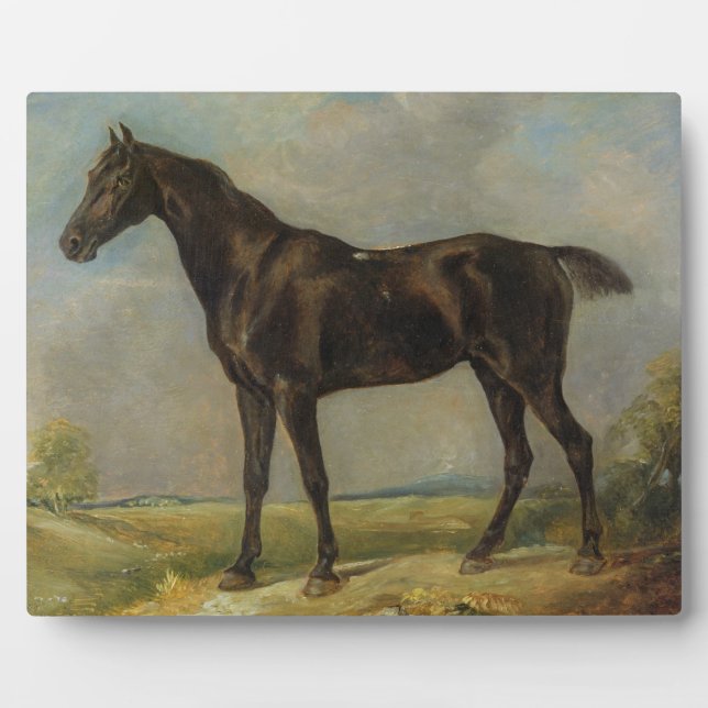 Placa Expositora Caballo de equitación negro de Golding Constable,  (Frente)