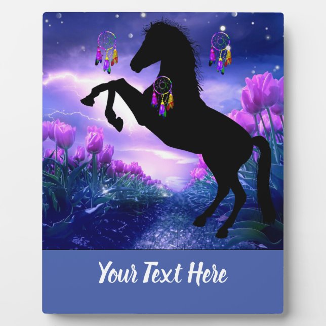 Placa Expositora Caballo Dreamcatcher (Frente)