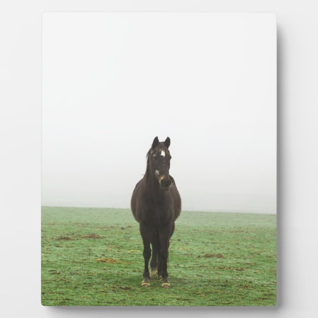 Placa Expositora Caballo en la niebla en un prado (Frente)