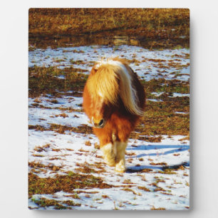 Placa Expositora Caballo enano marrón y crema en la nieve.