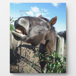 Placa Expositora Caballo marrón parlante