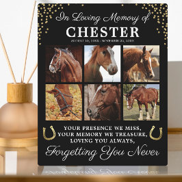 Placa Expositora Caballo Personalizado En Memoria Querida