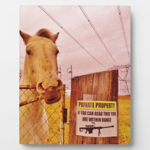 Placa Expositora Caballo Pink Private Property
