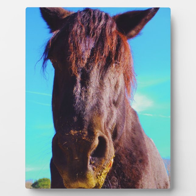 Placa Expositora Caballo púrpura con boca verde (Frente)