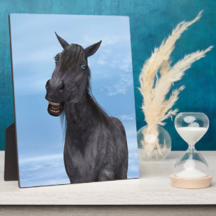 Placa Expositora Caballo Sonriente