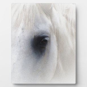 Placa Expositora Caballo y floral