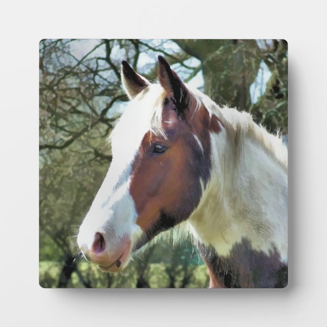 PLACA EXPOSITORA CABALLOS (Frente)