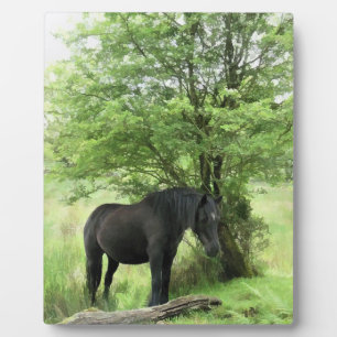 PLACA EXPOSITORA CABALLOS