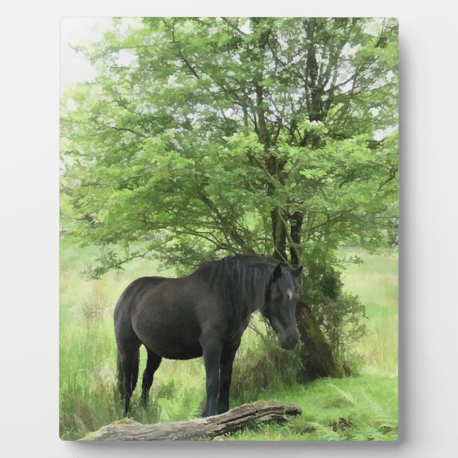 PLACA EXPOSITORA CABALLOS (Frente)