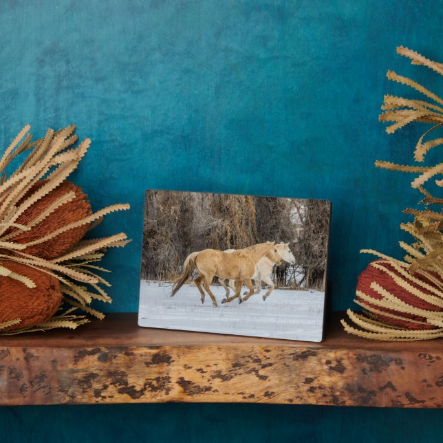 Placa Expositora Caballos corriendo en nieve (Lado)