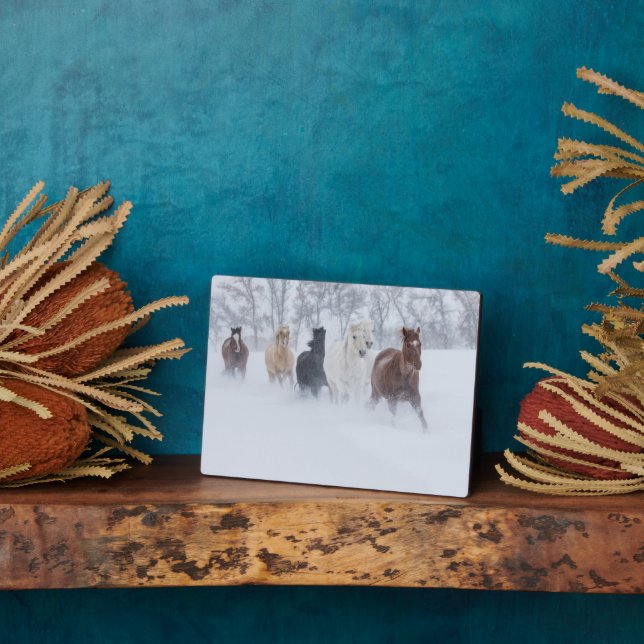 Placa Expositora Caballos corriendo por la nieve (Lado)