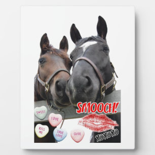 Placa Expositora Caballos el día de San Valentín