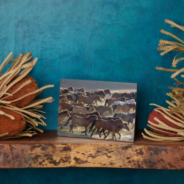 Placa Expositora Caballos en el rancho, Mongolia Interior, China (Lado)