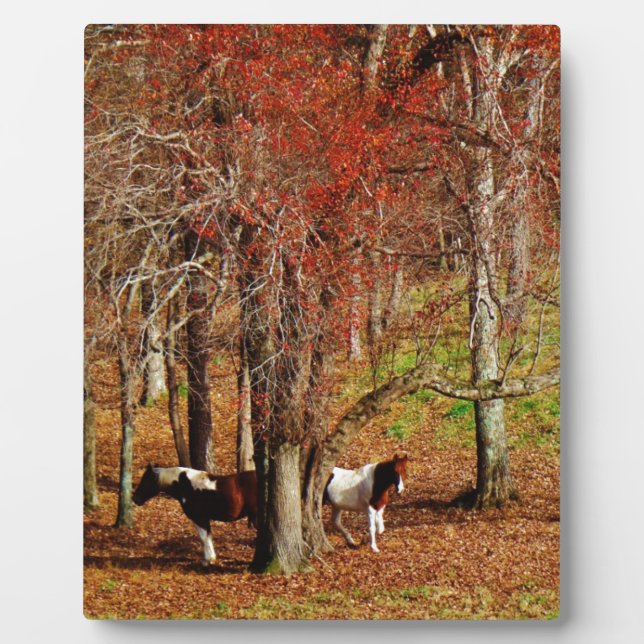 Placa Expositora Caballos gemelos marrón y blanco (Frente)