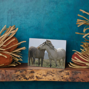 Placa Expositora Caballos salvajes desmoronándose