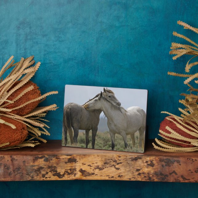 Placa Expositora Caballos salvajes desmoronándose (Lado)