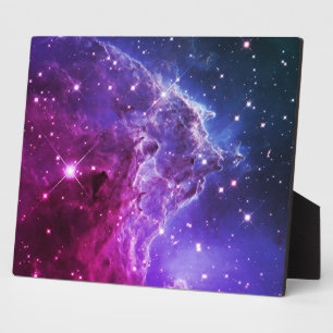 Placa Expositora Cabeza de Mono Nebulosa Ómbre Púrpura Hipster 10x8