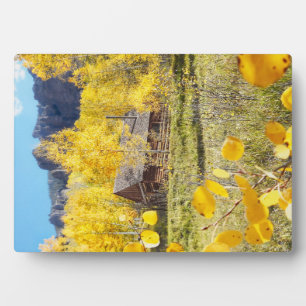 Placa Expositora Cabina en Aspens