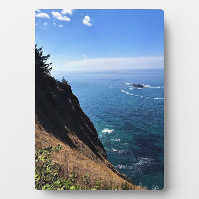 Placa Expositora Cabo Foulweather, Newport, Oregón (Frente)