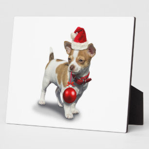 Placa Expositora Cachorro con navidades gorra y pelota