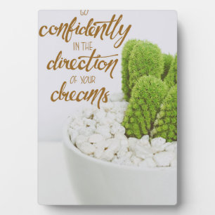 Placa Expositora Cactus Ve Confidentemente