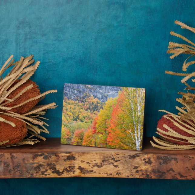 Placa Expositora Caída en el Parque Estatal Grafton Notch, Maine (Lado)