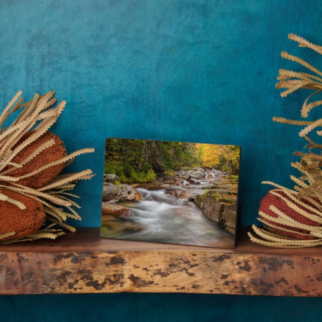 Placa Expositora Caída en Jefferson Brook, New Hampshire (Lado)