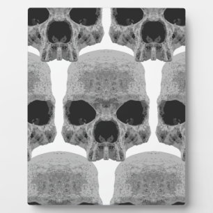 Placa Expositora Calaveras de gótico