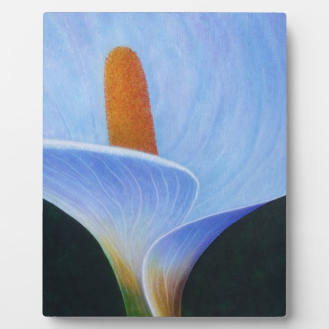 Placa Expositora Calla Lilly (Frente)