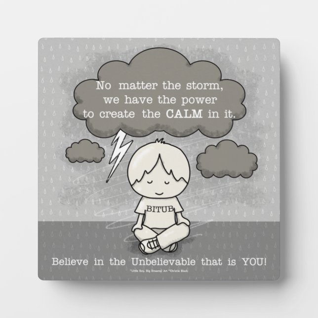 Placa Expositora Calma en la tormenta (Frente)