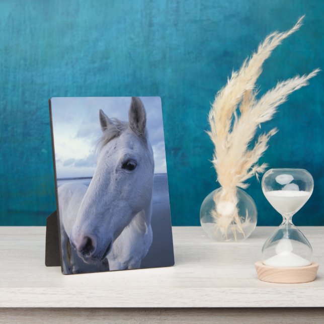 Placa Expositora Camargue Horse (Lado)