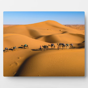 Placa Expositora camellos en el desierto bajo cielo azul