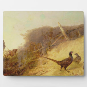 Placa Expositora Caminando hacia los feasants el 1 de octubre (ver 