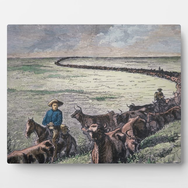 Placa Expositora Camino de ganado longhorn de Texas a Abilene, Kans (Frente)