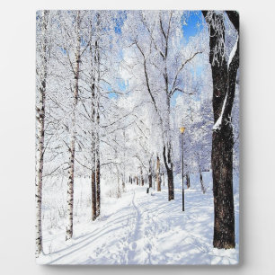 Placa Expositora Camino de nieve
