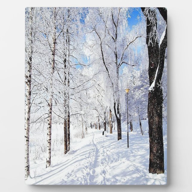 Placa Expositora Camino de nieve (Frente)
