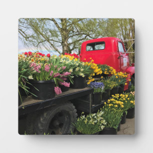 Placa Expositora Camión rojo con flores de primavera y arcoiris