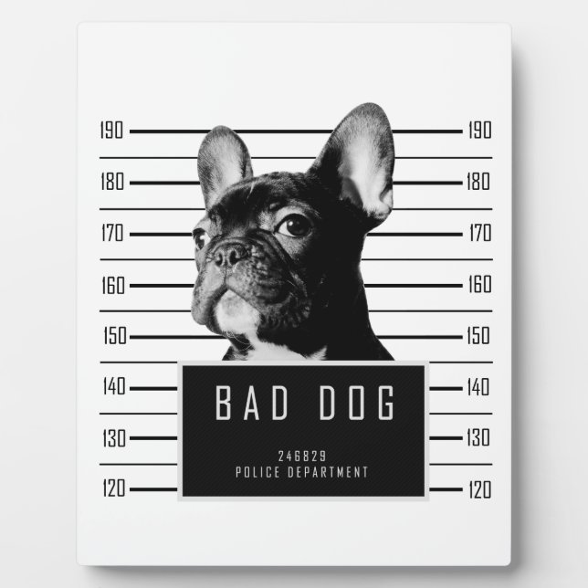 Placa Expositora Camisas mugshot del Bulldog francés (Frente)