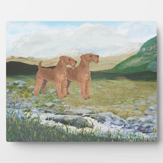 Placa Expositora Campo de Connemara (Frente)