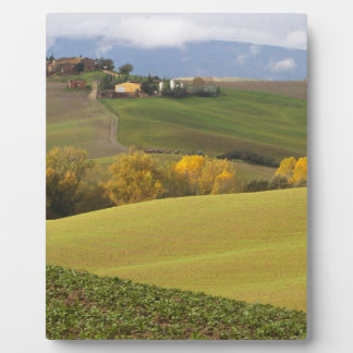 Placa Expositora Campo toscano verde