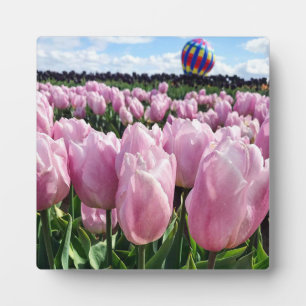 Placa Expositora Campo tulipán rosado con globo de aire caliente, O