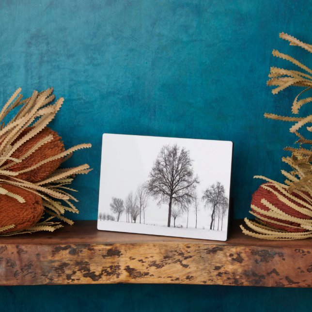 Placa Expositora Campos alrededor de Scalenghe | Piamonte, Italia (Lado)