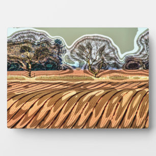 PLACA EXPOSITORA CAMPOS DE PRIMAVERA