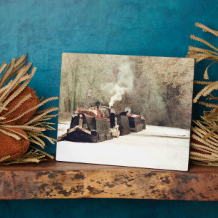 PLACA EXPOSITORA CANAL BOATS