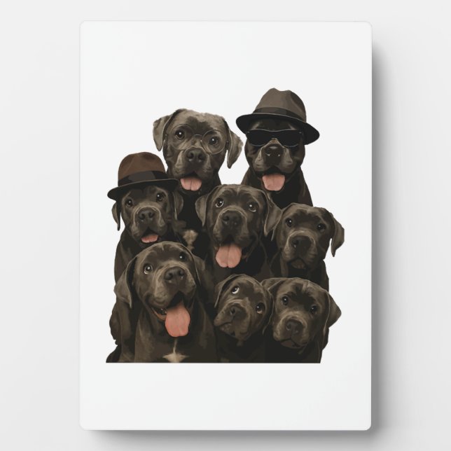 Placa Expositora Cane Corso (Frente)