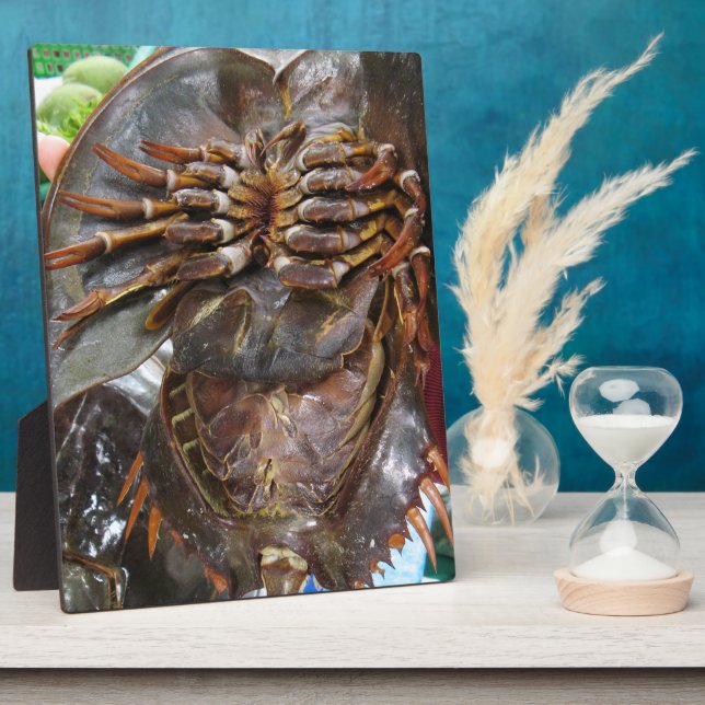 Placa Expositora Cangrejo herradura... Comida callejera tailandesa  (Lado)