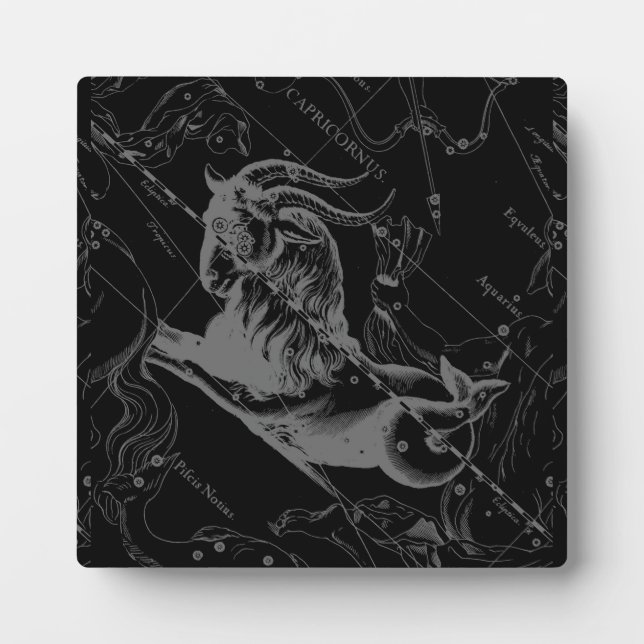 Placa Expositora Capricornio Constellation Hevelius 1690 Engraving (Frente)