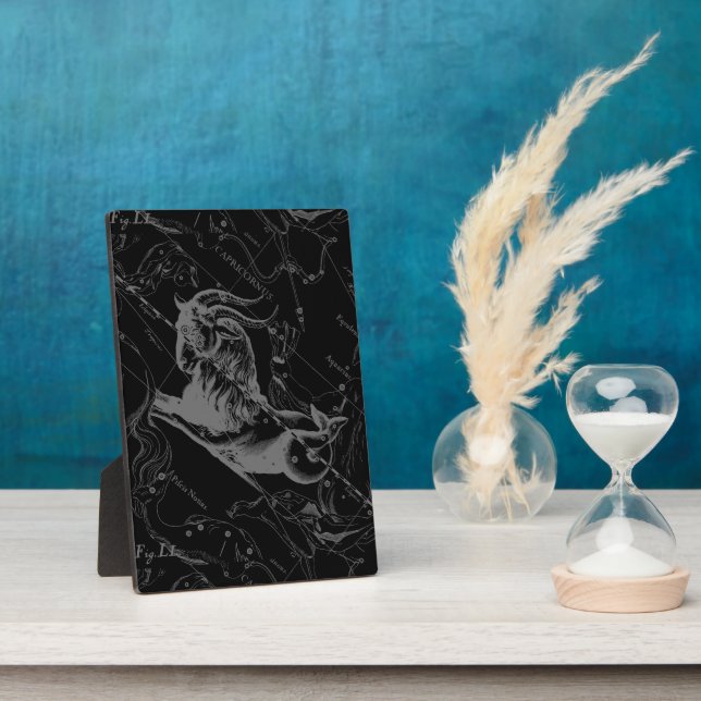 Placa Expositora Capricornio Constellation Hevelius 1690 Engraving (Lado)