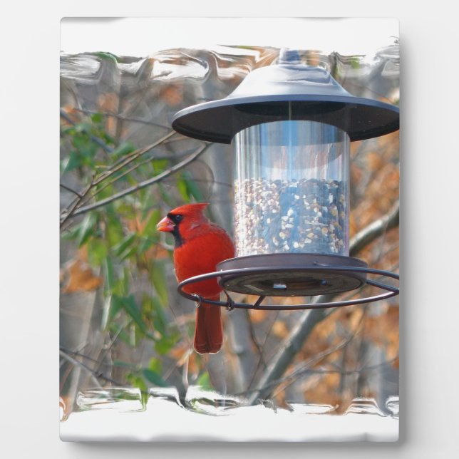 Placa Expositora Cardenal masculino (Frente)