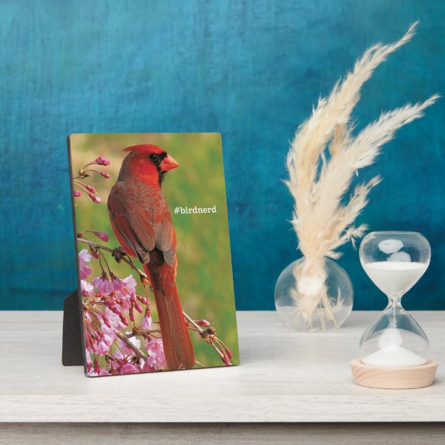 Placa Expositora Cardenal septentrional (Lado)